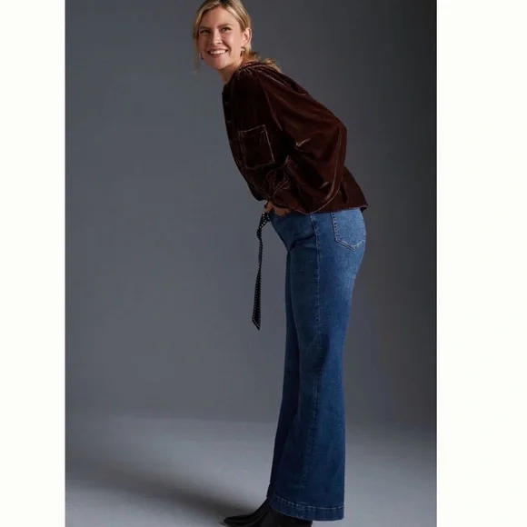 NWT Anthropologie Pilcro Velvet Femme Buttondown Shirt - Picture 2 of 7